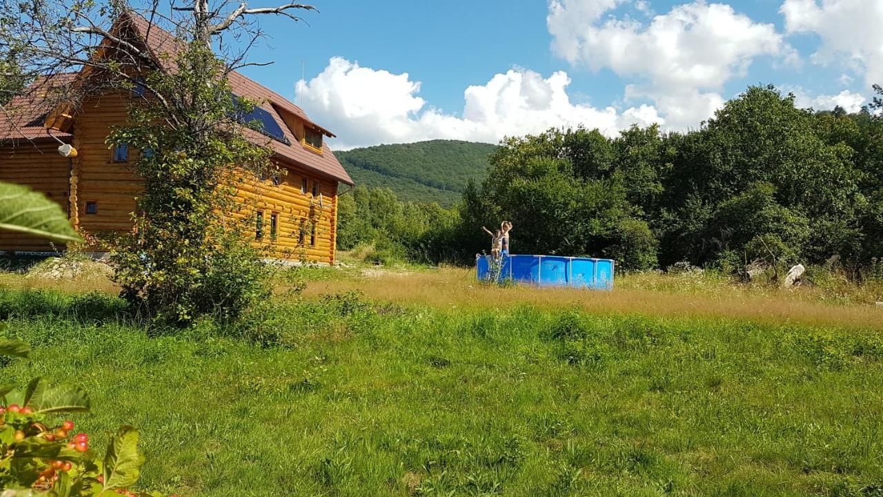Фермерские дома Valea Vistisoarei Vistisoara-7